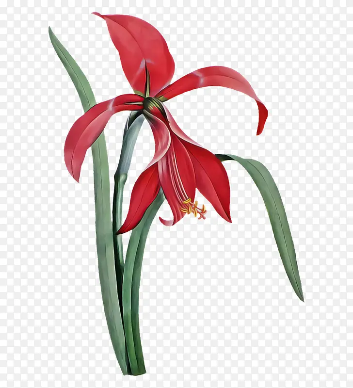 ������� ����-������