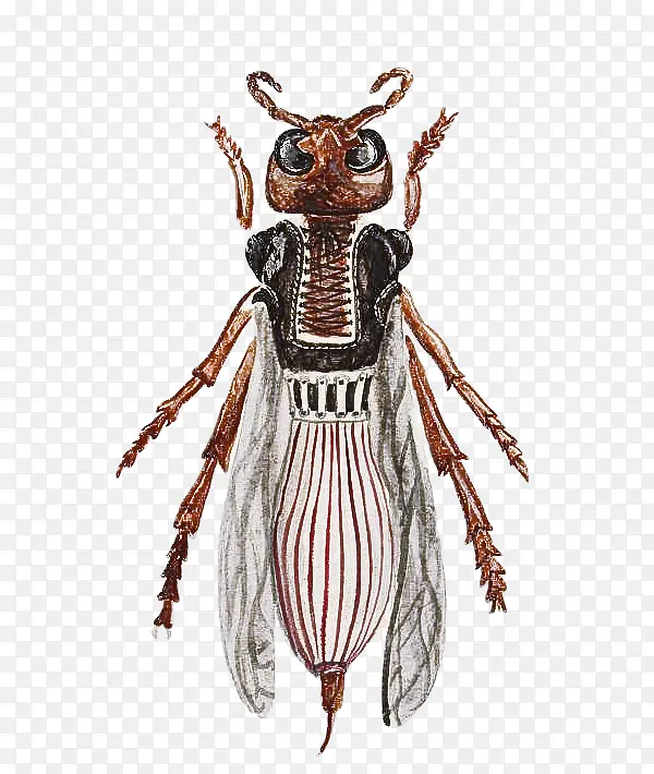 ���� ��ǳ� ��װ���-������