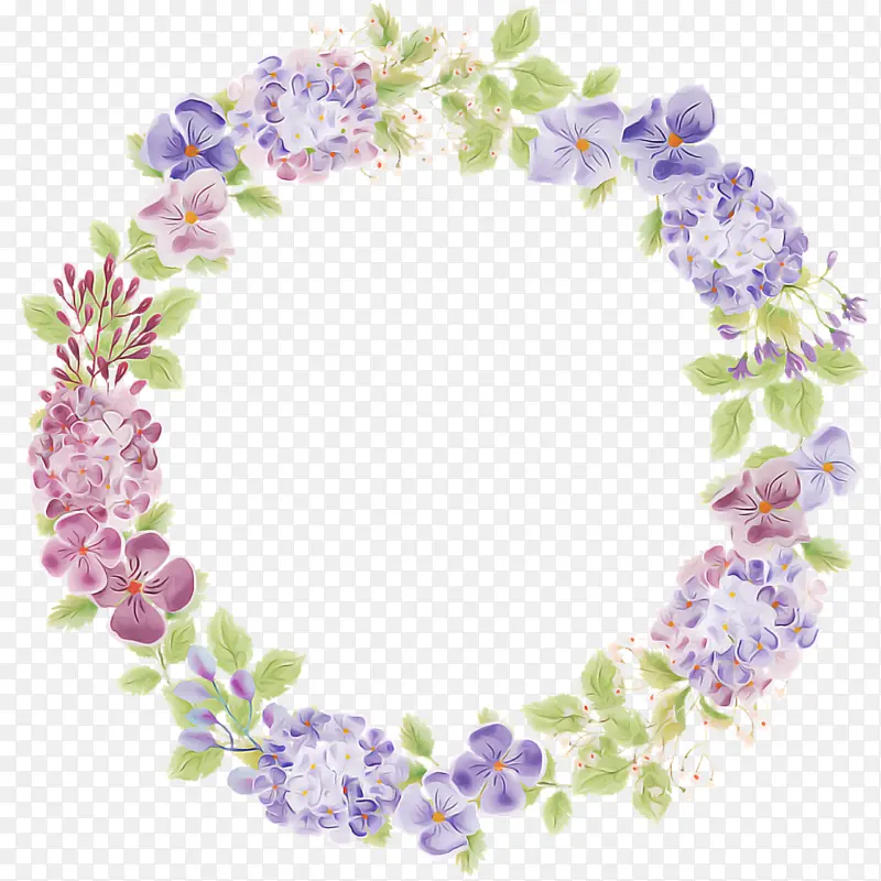 ������� ���� ޹�²�-������