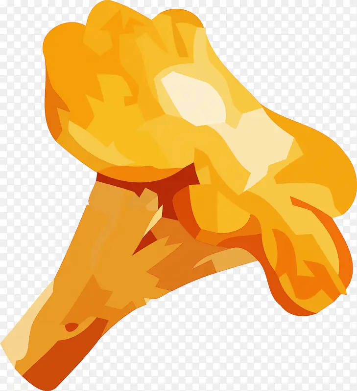 Ů�� ����ѧ ��ѧ-������