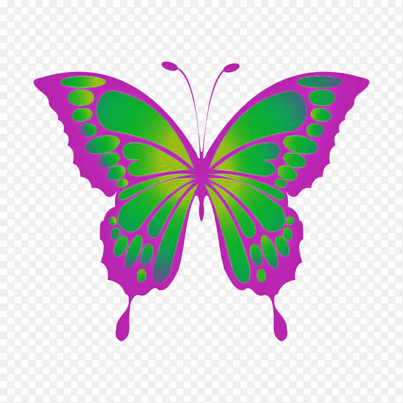 ���� ���� ī����˹����̬-������