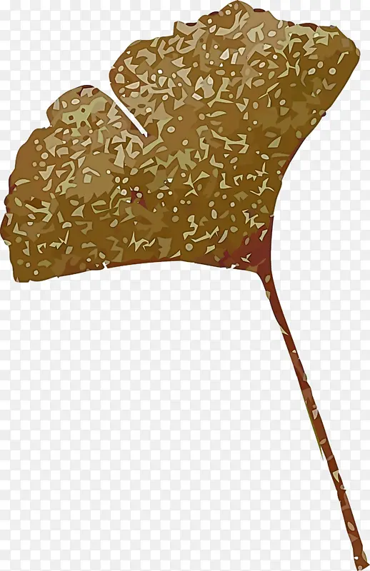 Ҷ�� ��ѧ ֲ��ṹ-������