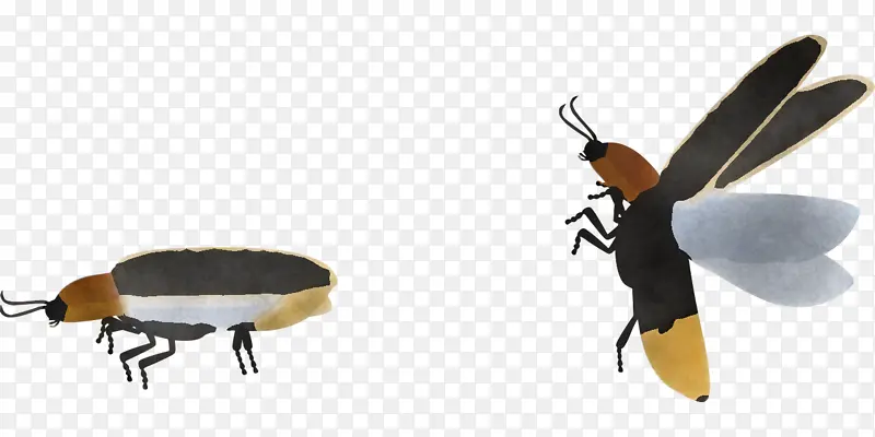 ������ ��״���� ��״Ŀ-������