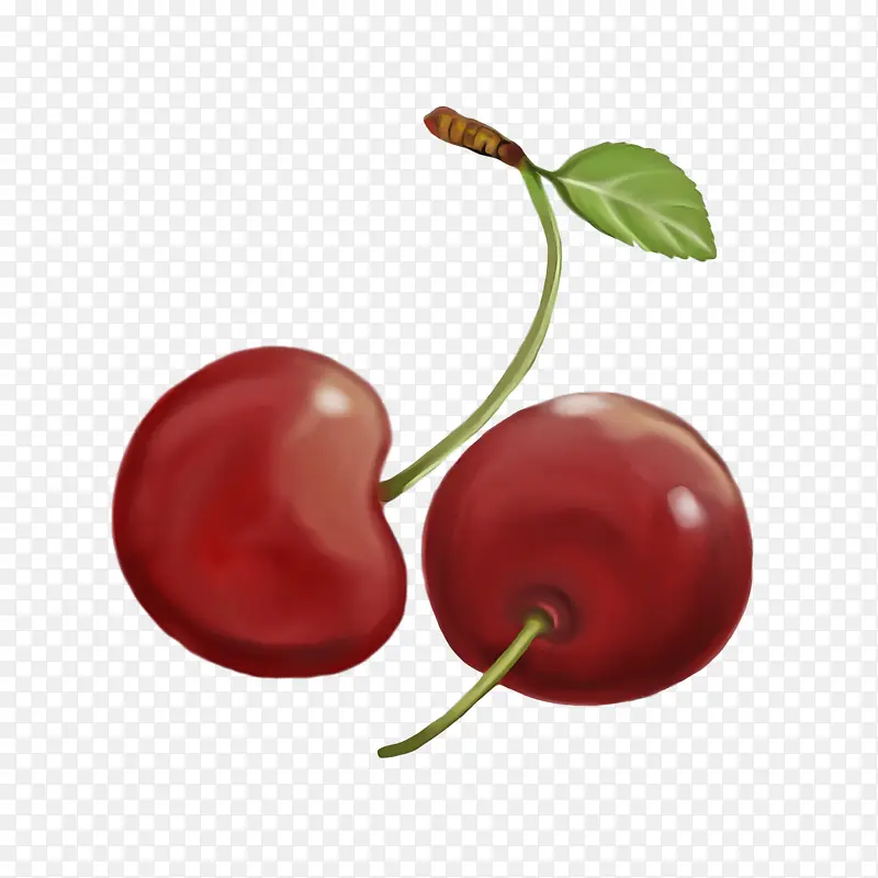 ֲ�� ����ʳƷ ˮ��-������