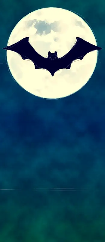 ��ʥ�ڿ��� ����� ��ͨ-������