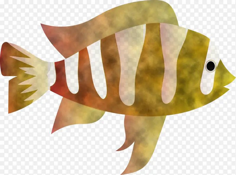 ���� ����ѧ ��ѧ-������