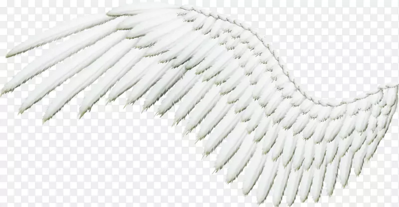 ��ë������-��ʹ���-������