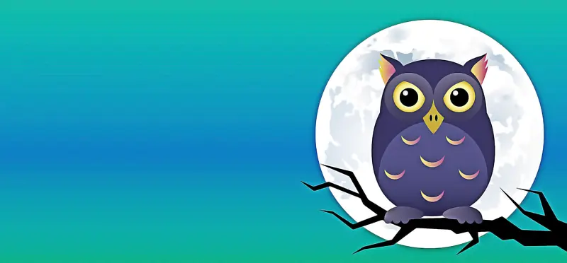 ��ʥ�ڿ��� ��ͨ �滭-������