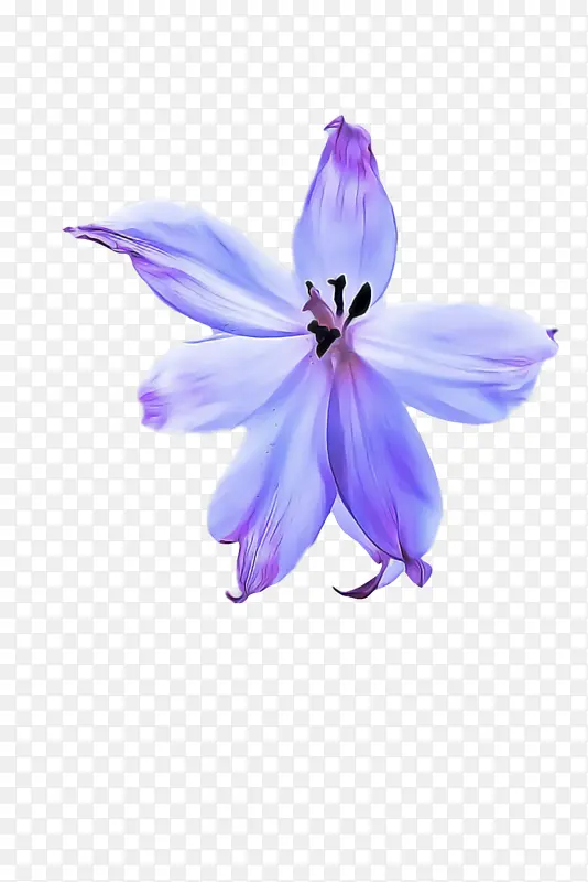 �� ���� ޹�²�-������