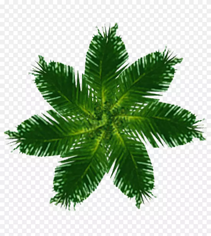 ������ͼ-������