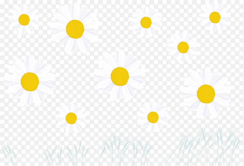 ���� �� ��-������