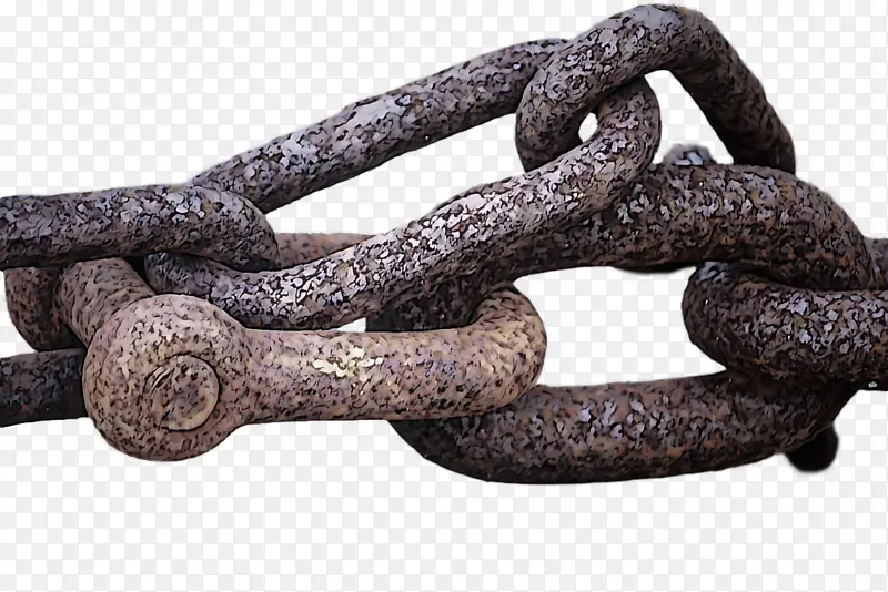 �� ��ѧ ��ѧ-������