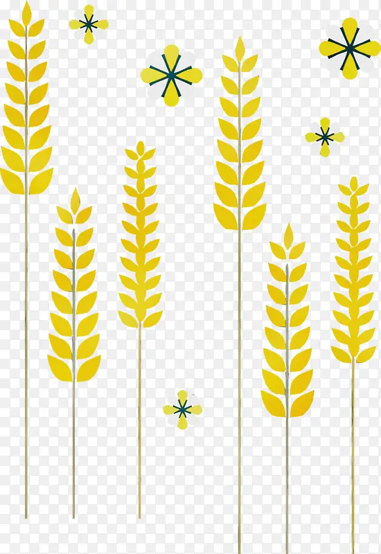 ���� ˮ�ʻ� ����-������