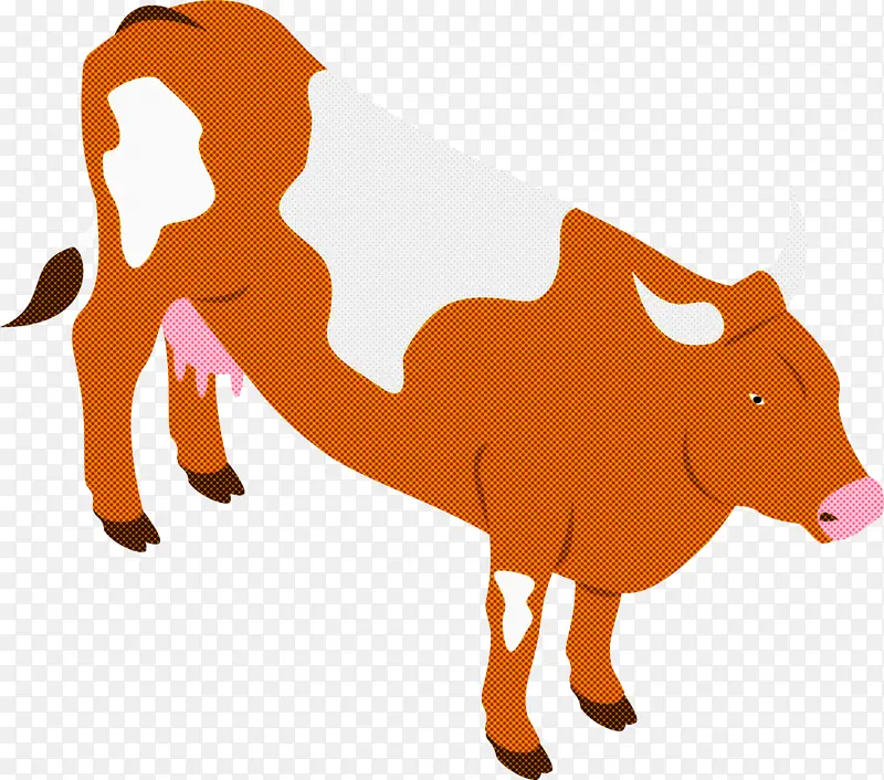 �ӼӶ�ţɽ��è��ţ��ͨ����β��-������