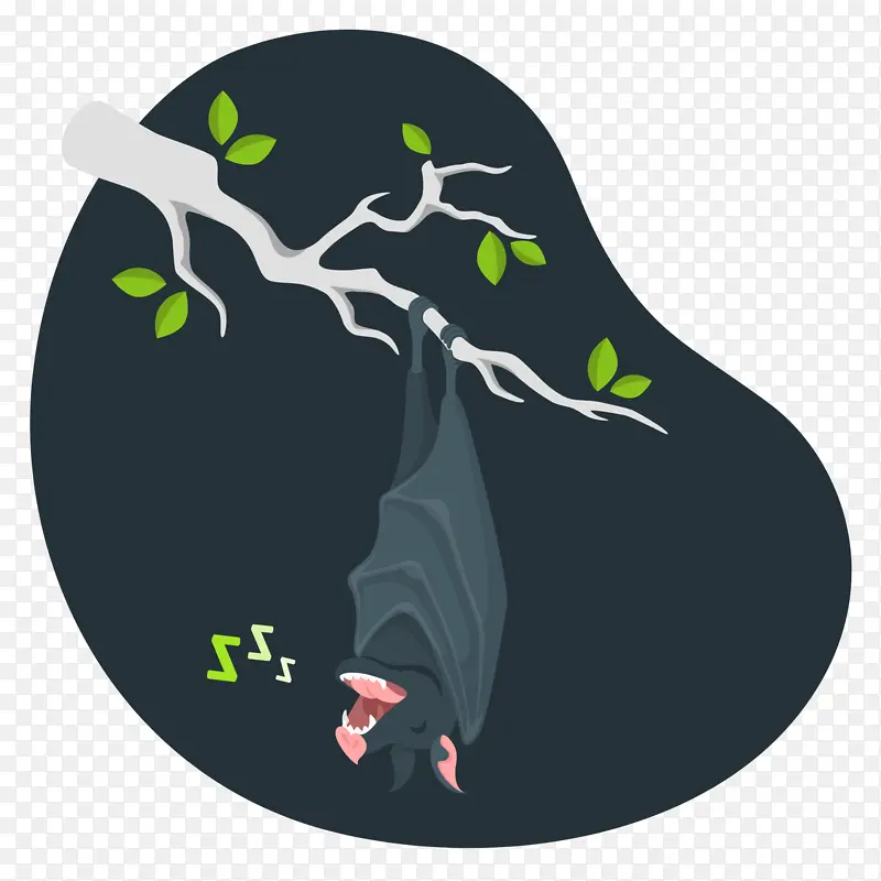 ֲ�� ��ѧ ����ѧ-������