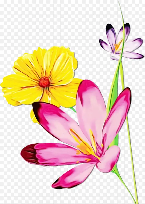 ˮ�ʻ� ���� ʪī-������