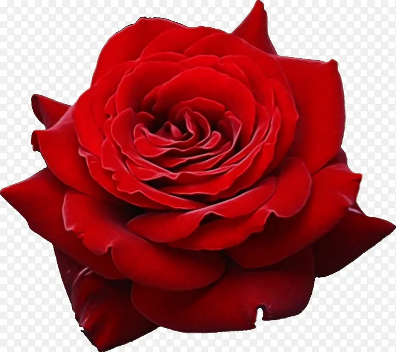 ˮ�ʻ� ���� ʪī-������