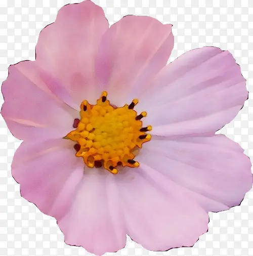 ˮ�ʻ� ���� ʪī-������