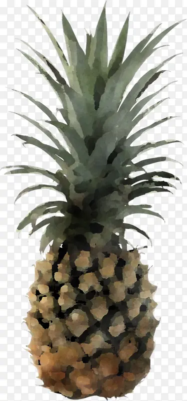 ���� ˮ�� ���˰-������