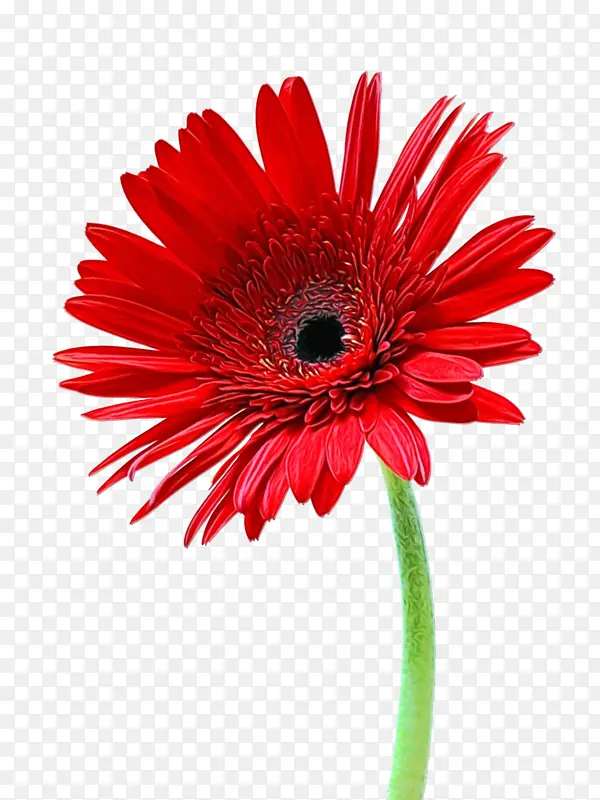 ˮ�ʻ� ���� ʪīˮ-������