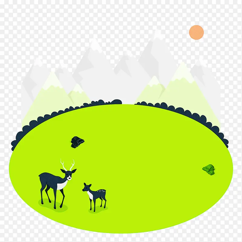 �滭 ˮ�ʻ� ��ͨ-������