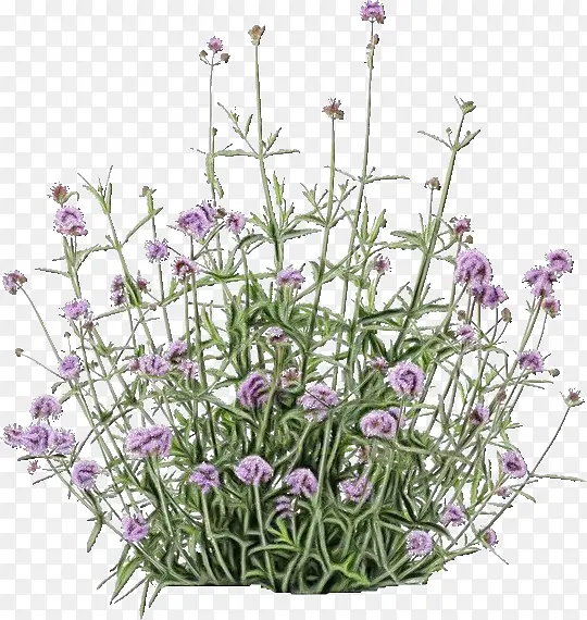 ˮ�� ���� ʪīˮ-������