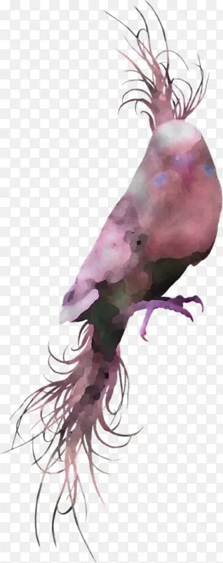 �� β�� ����ѧ-������