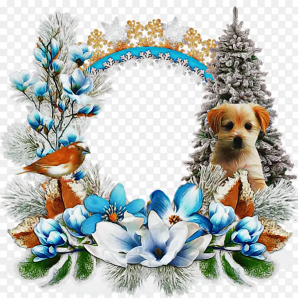 ʥ��װ�� С�� ʥ����-������