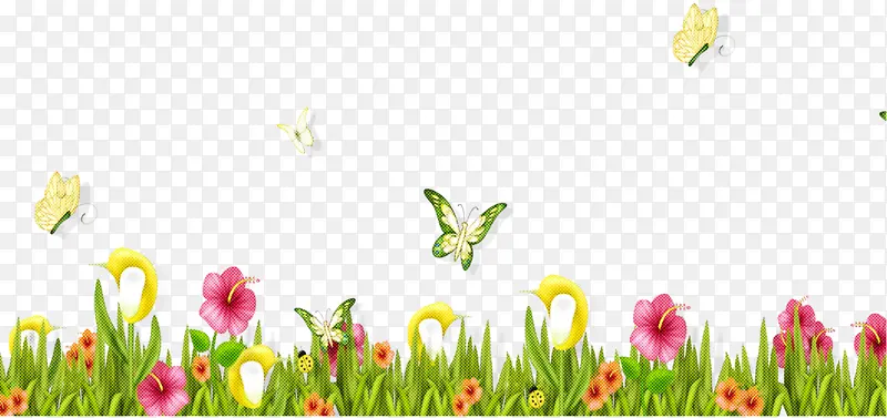 ���� �� ����-������