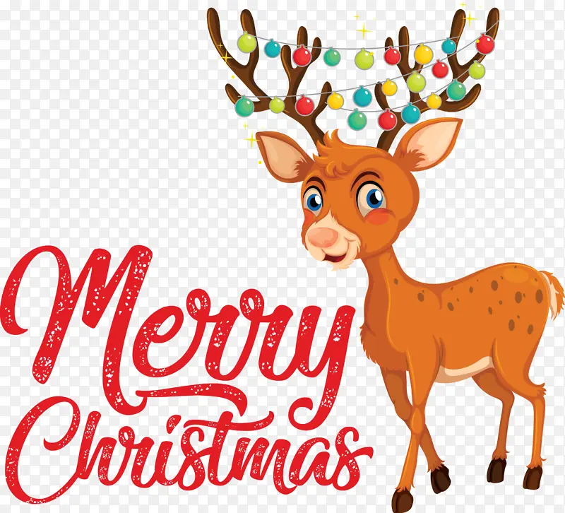 ʥ������ѱ¹��ͨ�������ֿ�ѧ����-������