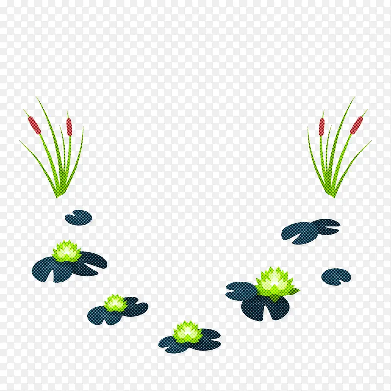 �滭 ˮ�ʻ� ����-������