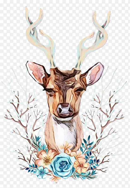 ˮ�ʻ� ���� ʪī-������