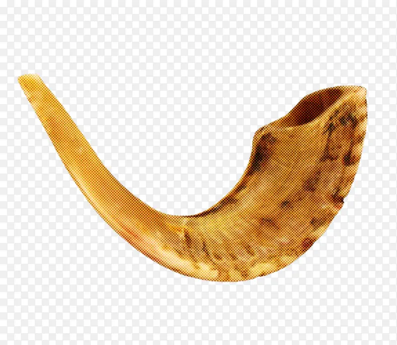 ��������ֲ��ϵͳ ����ֲ�� ����ѧ-������