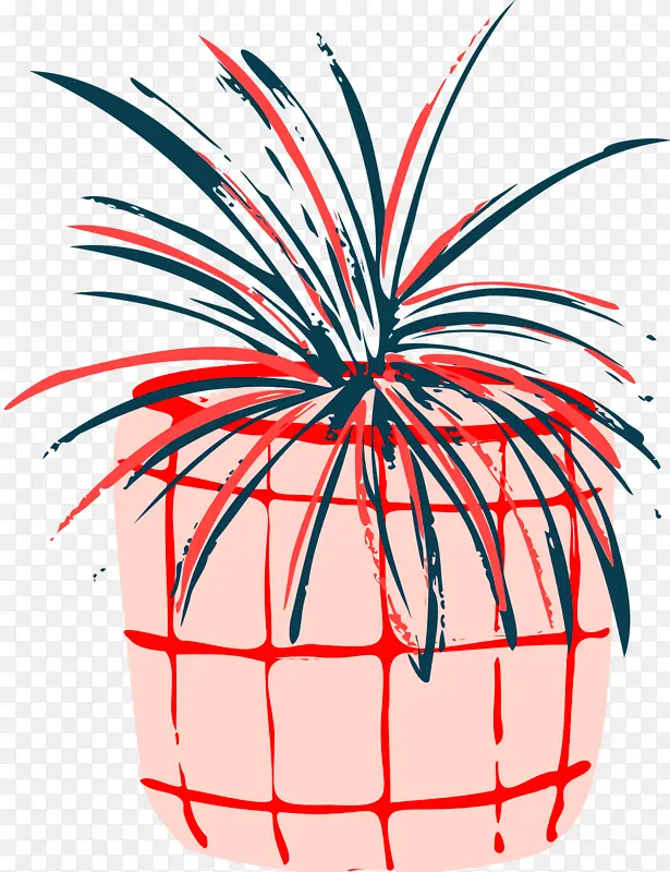 �� �� ����-������