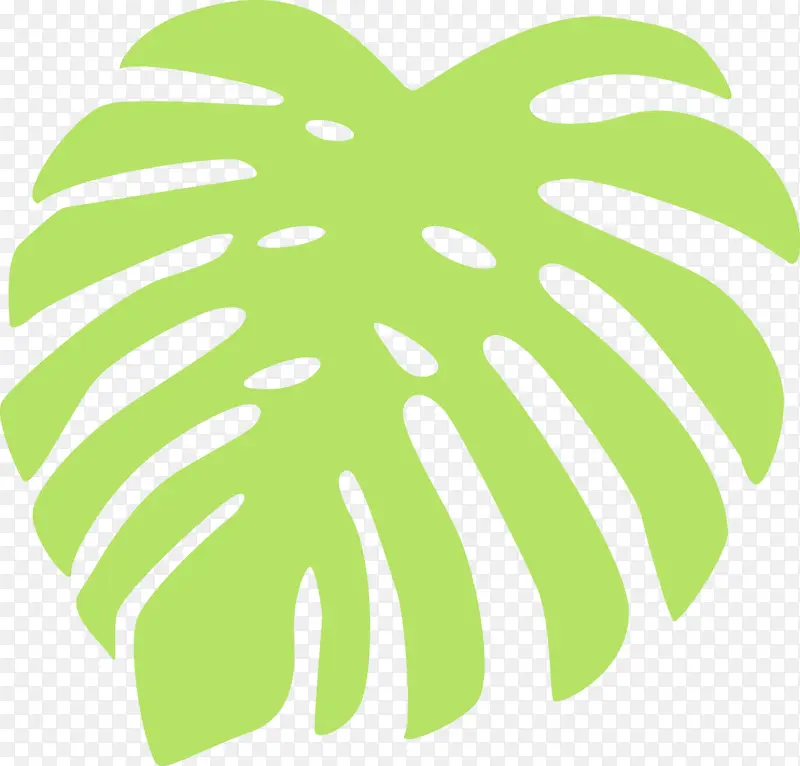 �ȴ�Ҷ ˮ�ʻ� ����-������