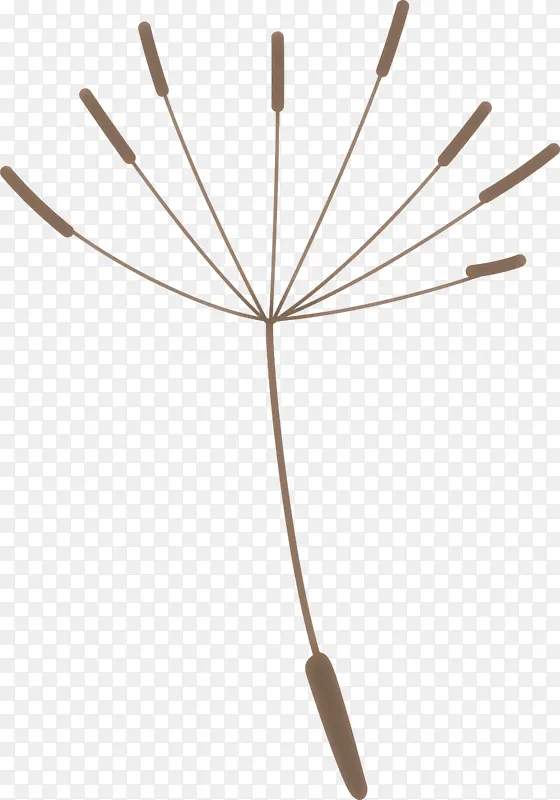 �ѹ�Ӣ �Ƕ� ��-������