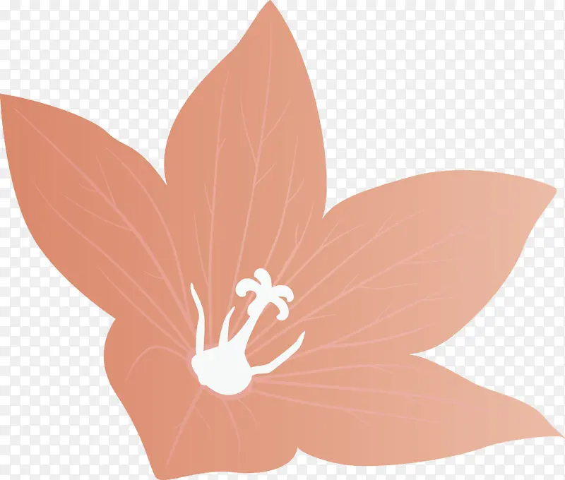 ���� �� ����-������