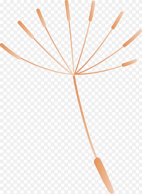 �ѹ�Ӣ �� ��-������