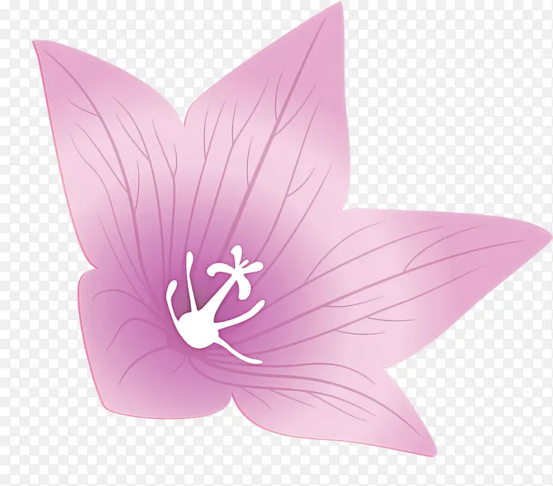 ���򻨺�����޹�²��۳�Ŀ-������