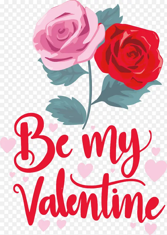 ���˽� ���� �������-������