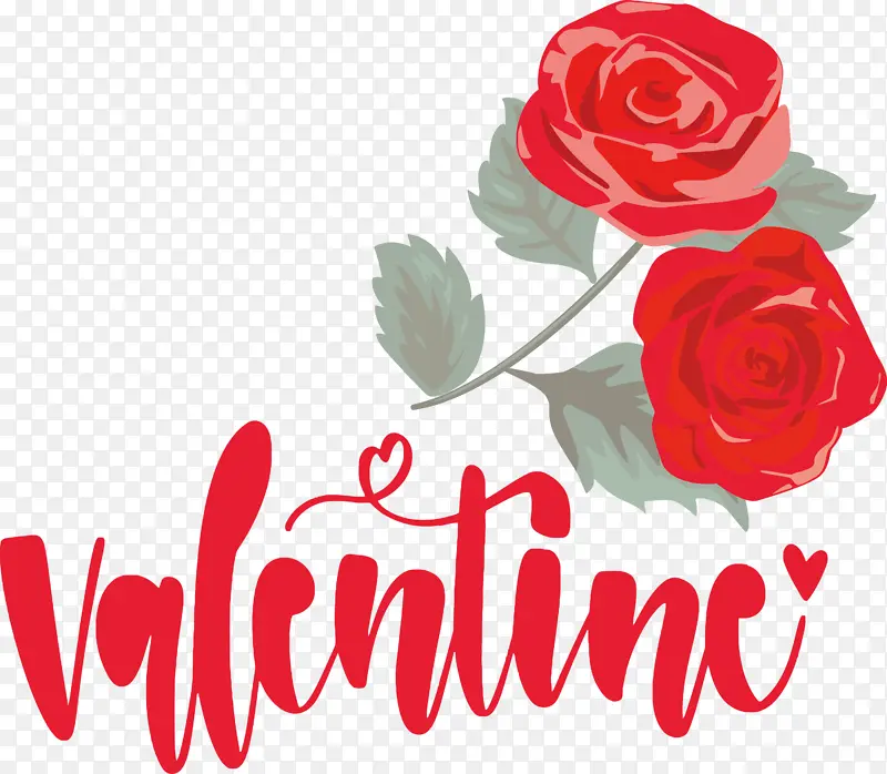 ���˽� ���� �������-������