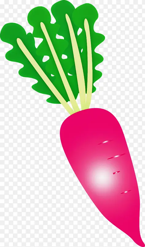 �ܲ� �߲� ɳ��-������