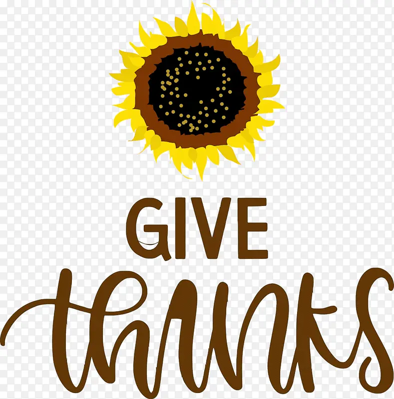 �ж��� �ж� ˮ�ʻ�-������