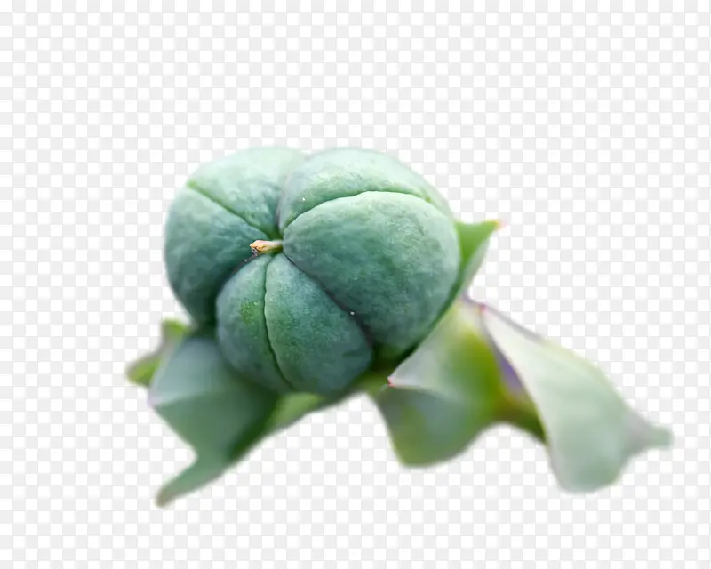 Ҷ ����ѧ ��ѧ-������