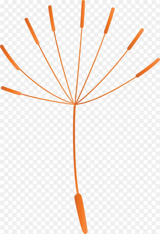 �ѹ�Ӣ �� ��-������