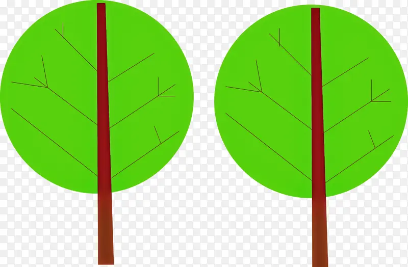 ��ͨ�� ������ Ҷ��-������