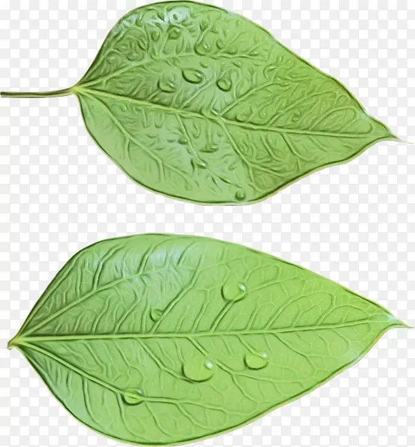 ˮ�ʻ� ���� ʪī-������