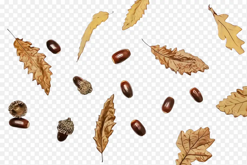 �ɶ�ͺ��� ���� ����-������