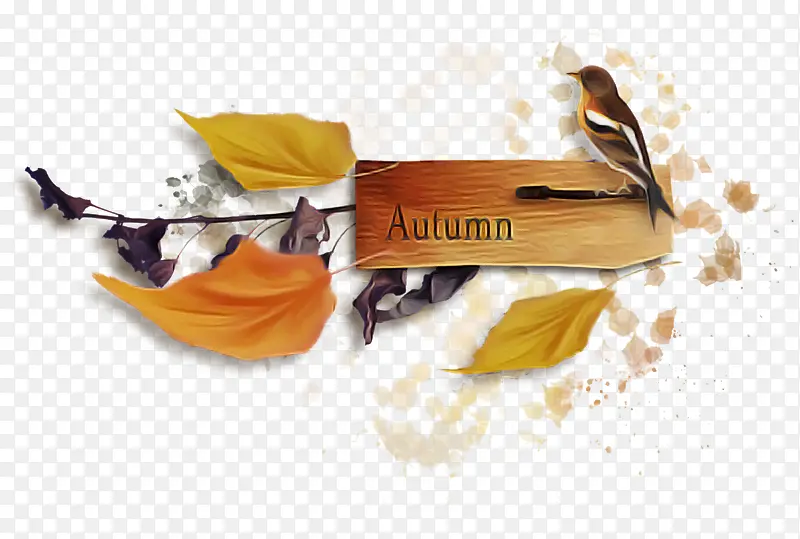 �����ͼ��ѧ ���� ����-������