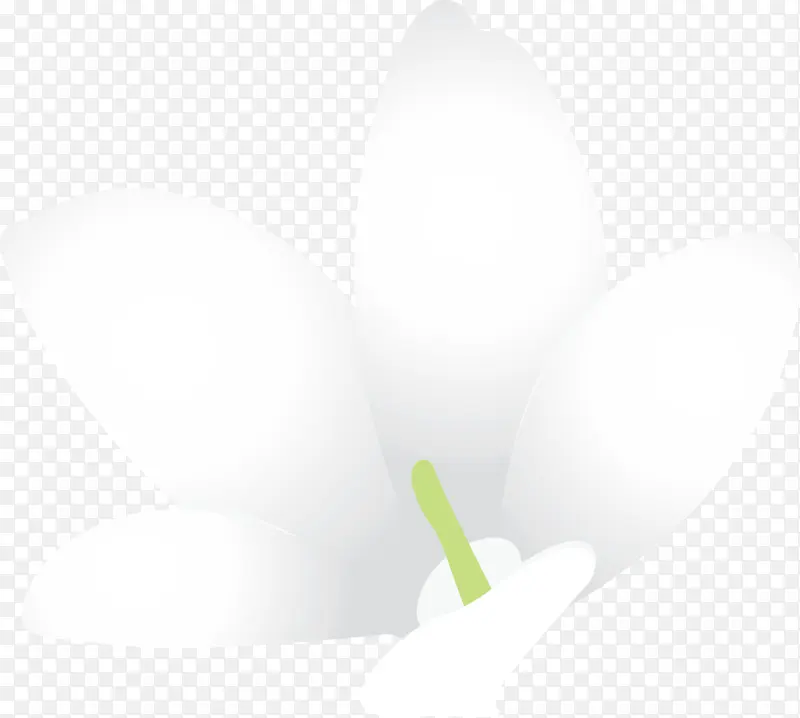 ���� ֲ�� �����-������